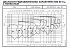 NSCF 125-250/40/W65VCC4 - График насоса NSC, 4 полюса, 2990 об., 50 гц - картинка 3